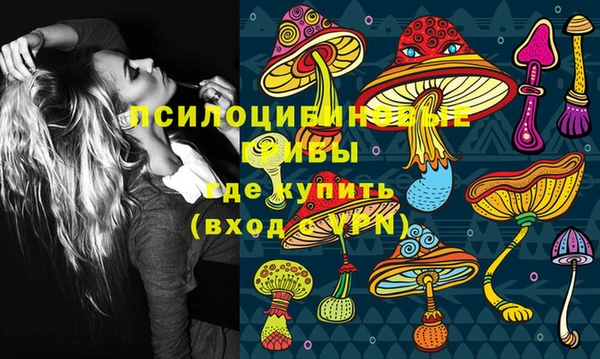 гашик Балахна